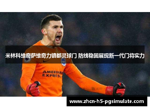米林科维奇萨维奇力镇都灵球门 防线稳固展现新一代门将实力